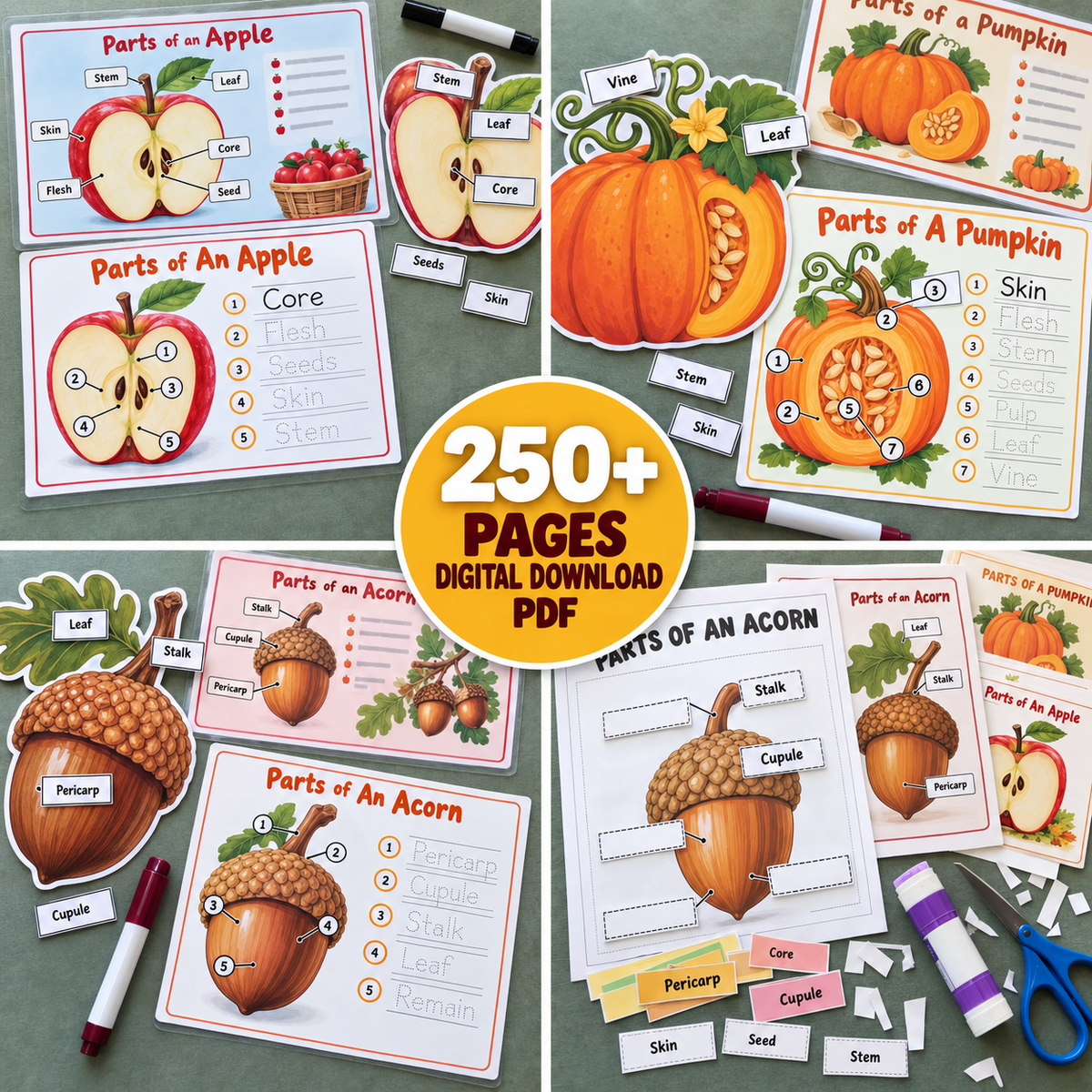 Fall Preschool Activities, Autumn Learning Packet for Kids
